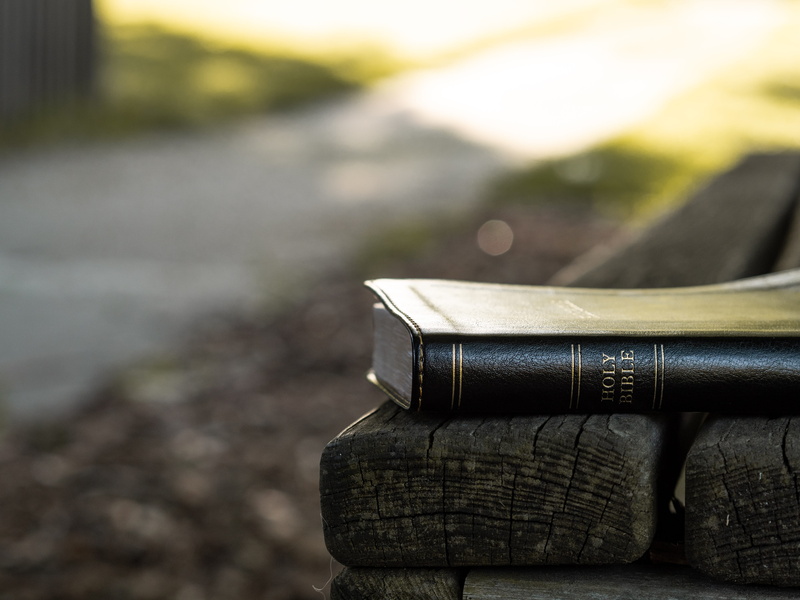 scripture, publication, water, still life, sidewalk, book, 5K, morning, landscape, close-up, old, religious, christian, path, bible, focus on foreground