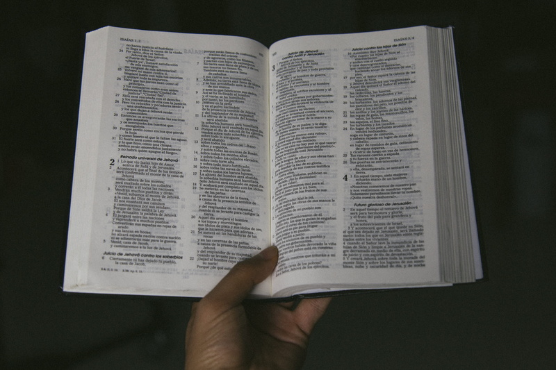 document, menu, human hand, christians, activity, education, holding, 4K, hand, reading, publication, black background, revelation, diary, god, bible