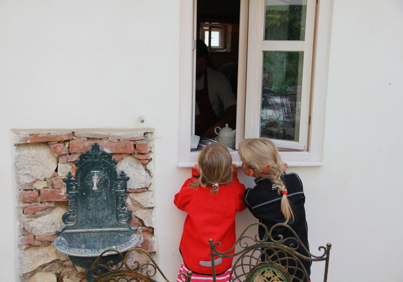 lifestyles, sister, summer, cognition, child, kitchen, window, childhood, children, restaurant, boys, rear view, peace, casual clothing, family, door, two people