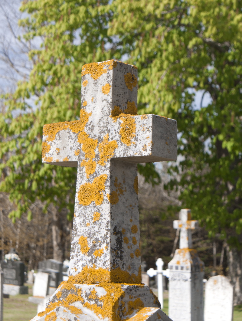 tree, day, life, stone material, holy, catholicism, crucifixion, sign, 2K, icon, spirituality, no people, close-up, tombstone, Religious, church, jesus