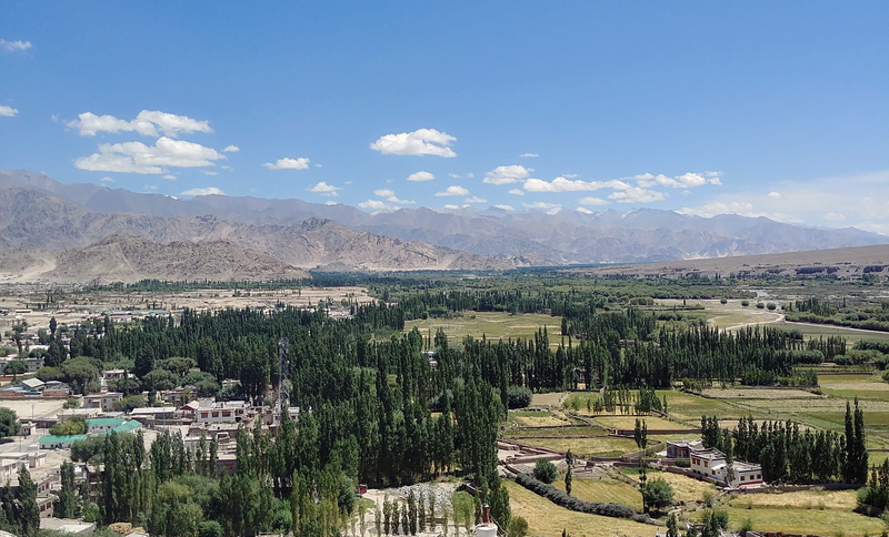no people, built structure, india, mountain, land, mountain range, himalayas, cloud - sky, trees, ladakh, plant, tree, high angle view, print house ladakh