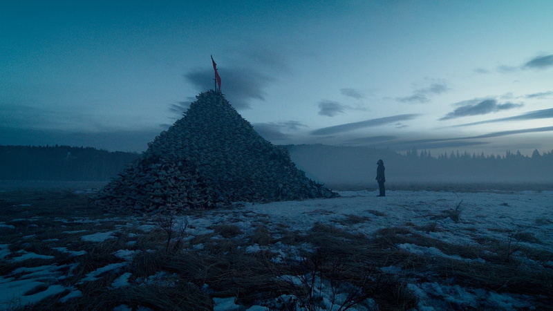 the revenant, landscape, coniferous tree, tree, land, frozen, outdoors, cloud - sky, travel, environment, plant, scenics - nature, 1080P, nature, winter