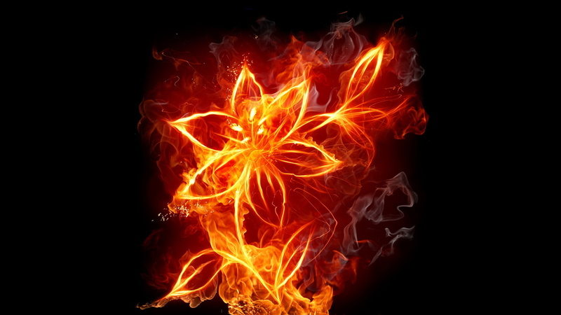 1080P, Flowers, smoke, background, black, flames, fire, hd, art, nature, x