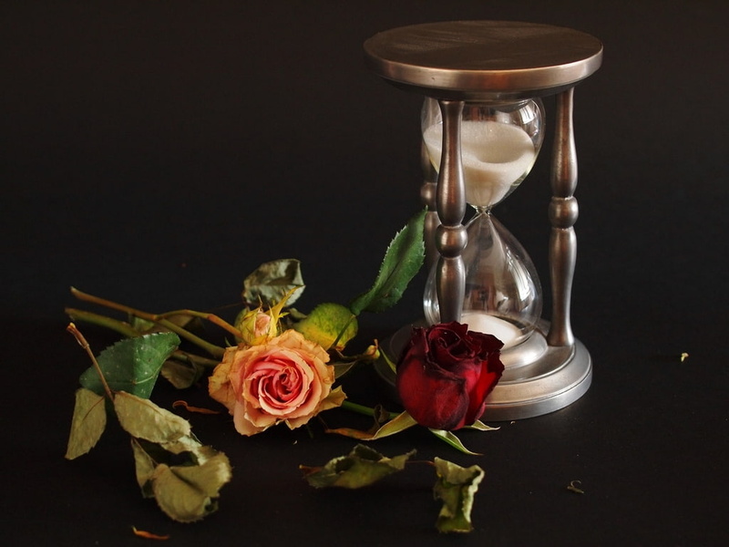 flowers, roses, tempo, hd, clock, 480P, art, nature, still life, sand clock, time, sand