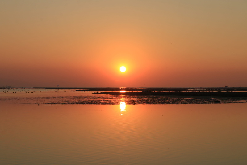 tranquility, horizon over water, holiday, horizon, sunrise, sky, tranquil scene, sea, water, land, beach, landscape, orange color, 5K, outdoors, sunlight