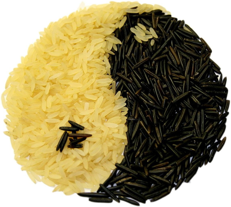 yellow, high angle view, food And Drink, Edible, plant, aisén, black color, isolated, white background, asia, wellbeing, healthy Eating, rice - Food Staple