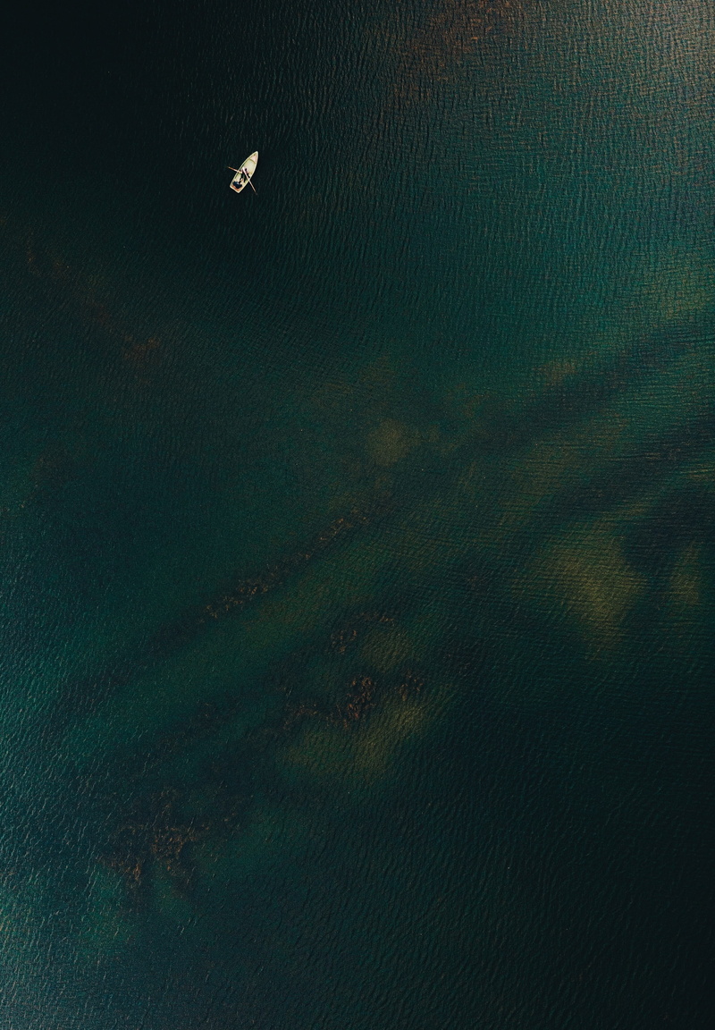 beach, summer, sail, sunlight, nature, wildlife, tree, drone view, beauty In Nature, scenics, sea, ripple, reflection, water Surface, travel