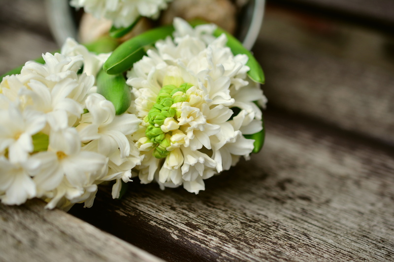 green, flower head, 5K, flower, early bloomer, quality, signs of spring, fragility, hyacinth, flower arrangement, shot, macro, food, hyacinthus, table