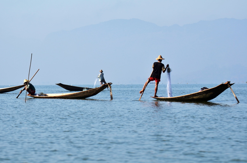 inlelake, nautical vessel, inle lake, sea, people, transportation, nature, fishing industry, occupation, fish, activity, boats, fisherman, myanmar, inlesee