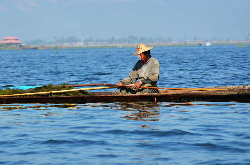 water, single-leg-rowers, nautical vessel, sitting, burma, fisherman, fischer, lifestyles, men, sea, beauty in nature, myanmar, nature, lake inle, transportation