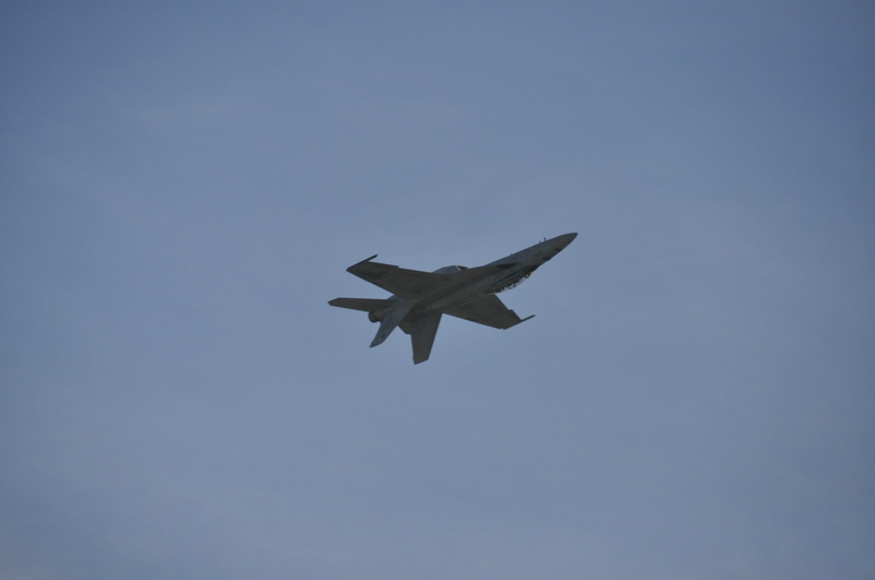 copy space, mid-air, low angle view, on the move, aircraft, grey, spread wings, jet, vertebrate, air Vehicle, transportation, nature, no people, air, air Force