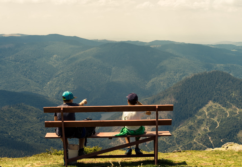 two, kids, child, look, forest, rural Scene, hiking, direction, journey, boys, grass, sitting, green Color, mountain Peak, men, transylvanium, people, sky