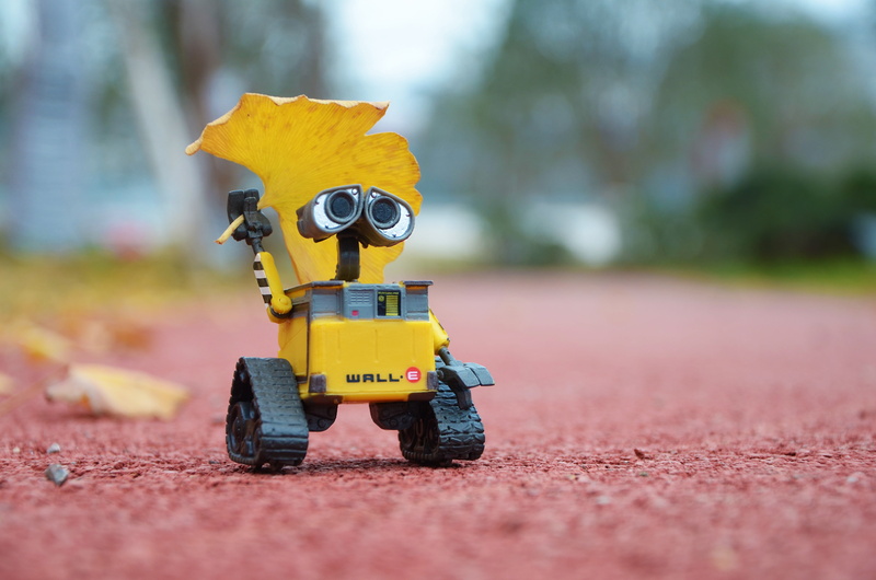 copy space, fun, ground, toy, single object, movies, selective focus, sport, tree, childhood, wall, selective, plant, inspirational, wali, yellow, robot