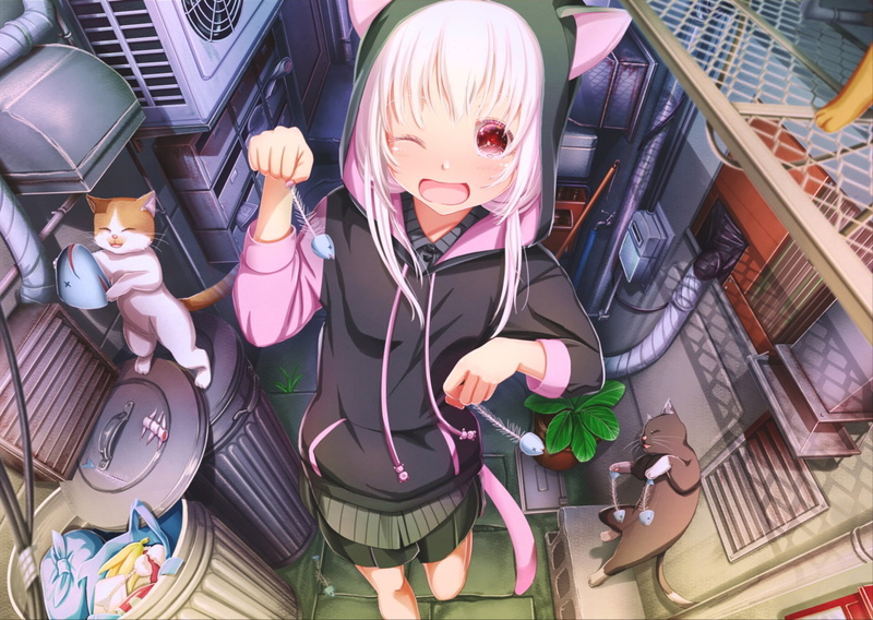 Anime, Trash, Trashcan, Cat Girl, Original, 1080P, Cat