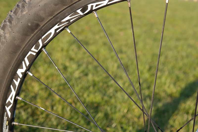 outdoors, racing ralph, profile, grass, bicycle tires, mountain bike, close, focus on foreground, land vehicle, green color, tunnel, land, spokes, mode of transportation
