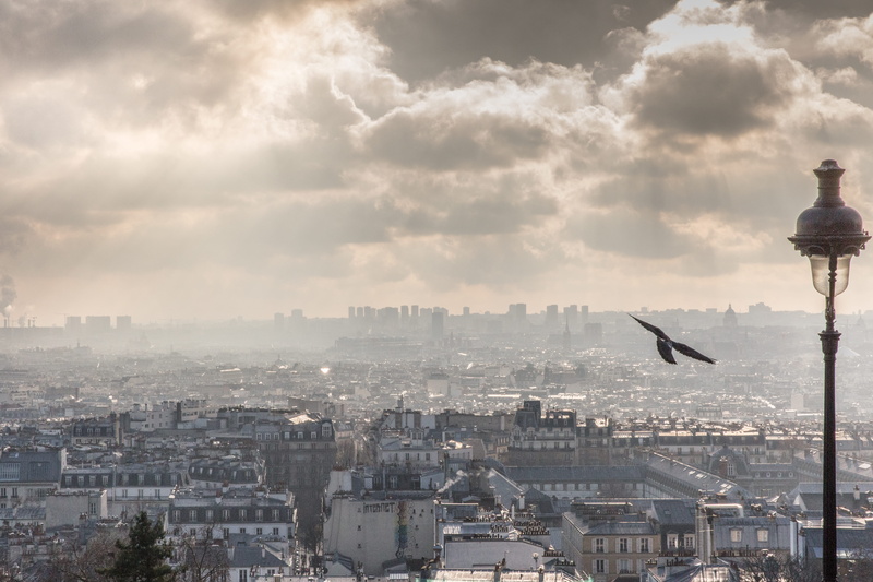 sky, building, animal, travel destinations, 5K, no people, montmartre, animal wildlife, parigi, sacre coeur, paris, building exterior, bird, cloud - sky