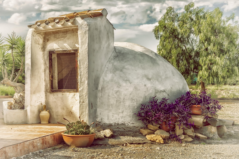 flower, beauty in nature, front or back yard, building, 5K, sky, construction, no people, outdoors, cistern, rustic, plant, growth, potted plant, house