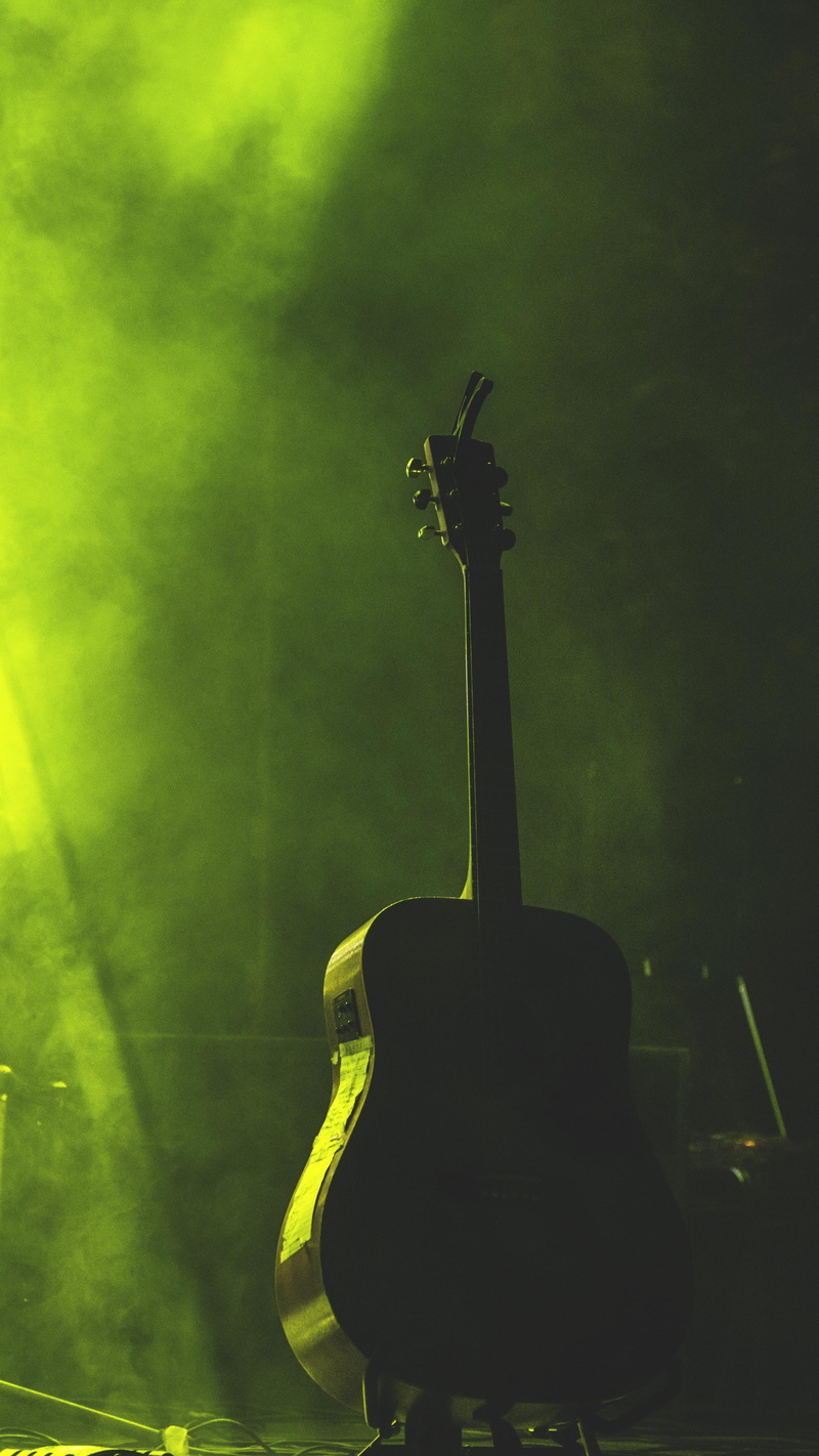 smoke, 5K, green, string instrument, low angle view, plant, music, animals in the wild, animal wildlife, india, close-up, day, shimla, no people, musical equipment
