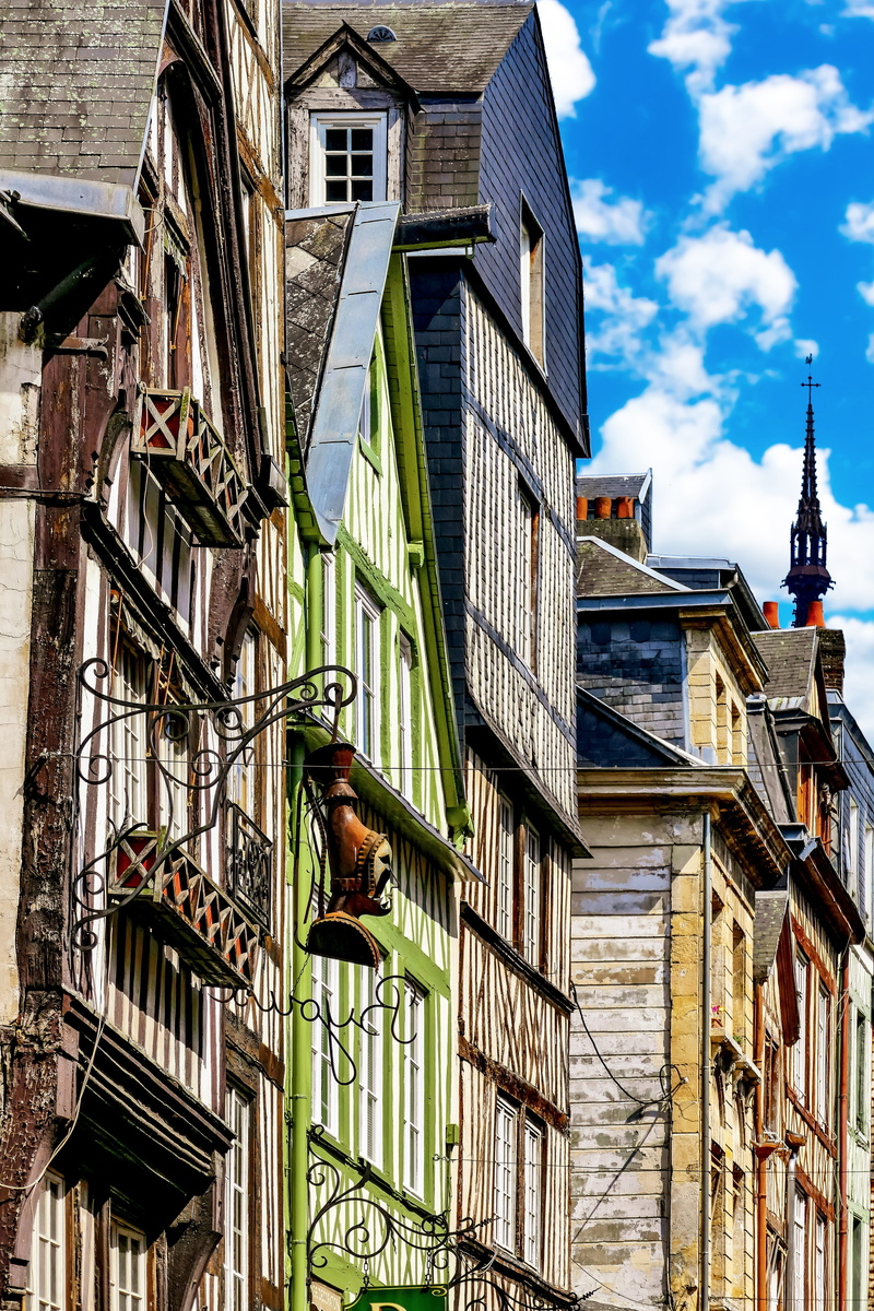 animals in the wild, day, gothic, rouen, france, built structure, architecture, outdoors, studs, healthy-maritime, 5K, low angle view, animal, residential district