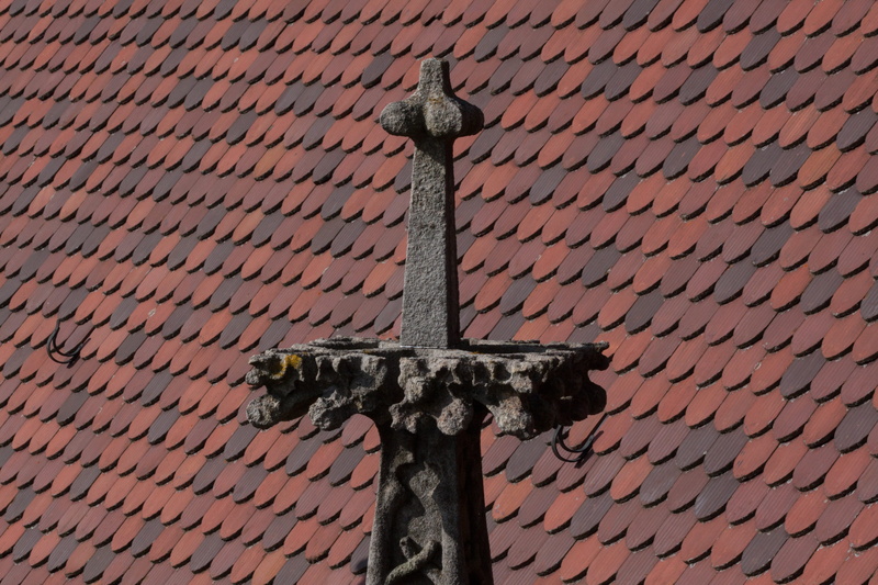 pattern, no people, nature, building exterior, church, animal, old, gothic, built structure, day, architecture, Roof, low angle view, ulm cathedral, cross