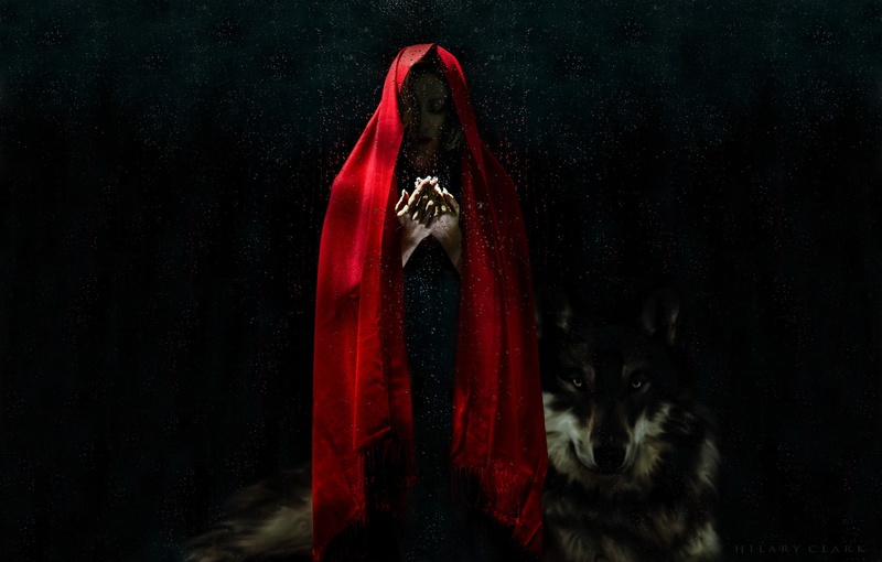 girl, red, studio shot, close-up, animal themes, rain, whisker, spooky, fantasy, feline, pets, animal, cloak, no people, domestic cat, hood, wolf, female
