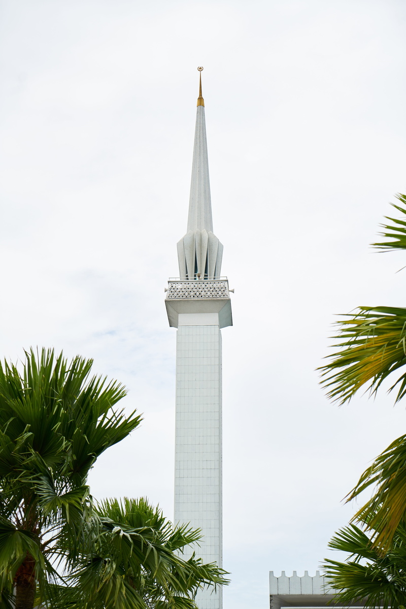 coconut palm tree, built structure, religion, building exterior, background, palm tree, outdoors, azan, sky, architecture, city, travel destinations, tree
