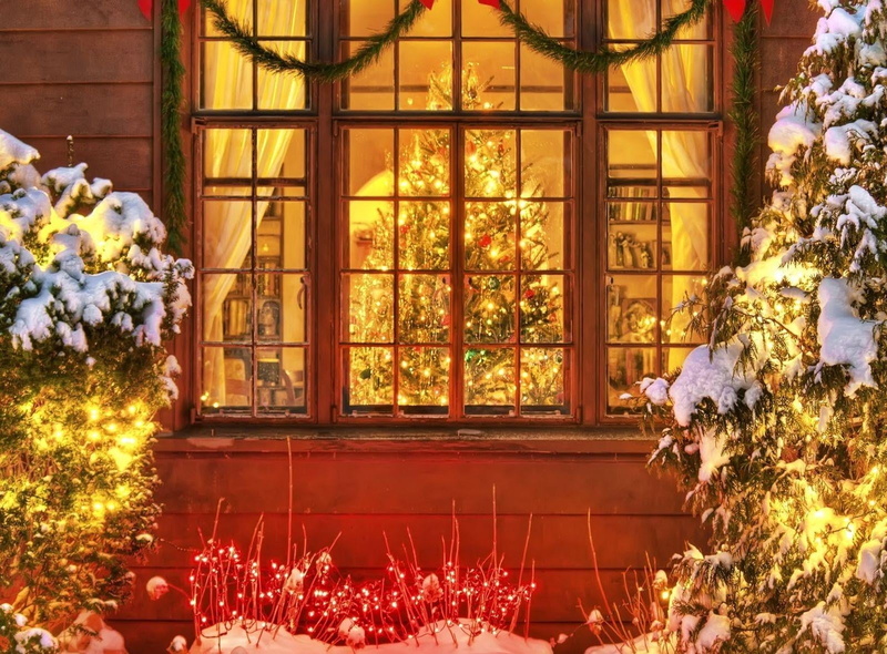 flowering plant, building, christmas, travel Destinations, beauty in nature, no People, ornate, christmas Decoration, europe, cultures, flower, christmas Lights