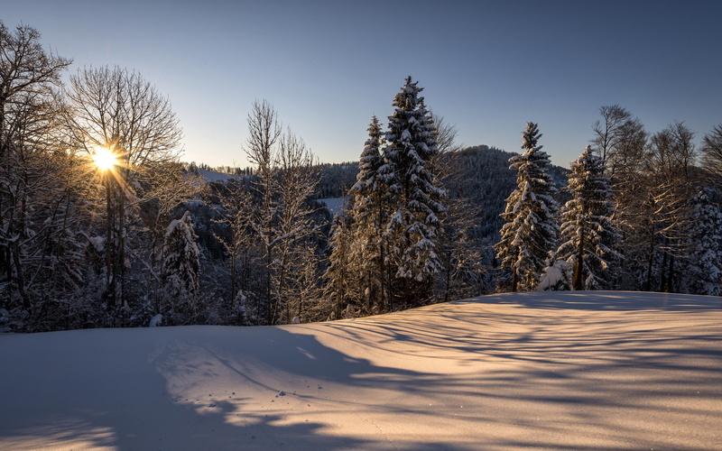 Winter, Landscape, Switzerland, Hulftegg, Snow, 1080P, Forest, Sun, Nature, Morning