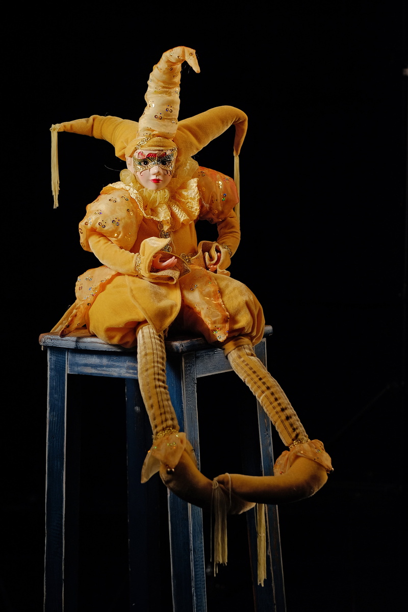 performance, celebration, jester, human body part, fun, one animal, cut out, animal wildlife, 4K, studio, representation, night, joker, stage costume