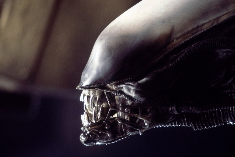 entertainment, movies, aliens, movie, Xenomorph, Aliens movie, hd, art, CREATURES, giger, teeth, 4K, alien