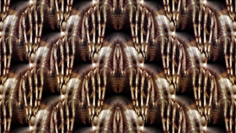 pattern, Symmetry, H. R. Giger, 1080P