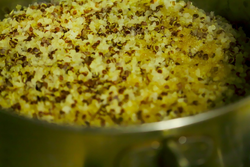 quinoa, no people, vegetarian, selective focus, photo, close-up, food and drink, nature, day, side, freshness, indulgence, 2K, high angle view, pot, cook