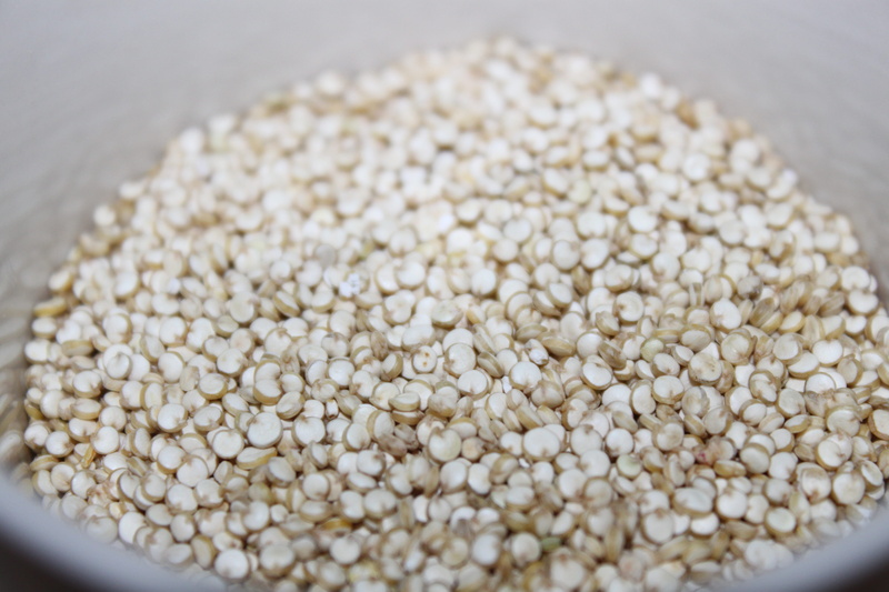 raw food, photo, cereal plant, vegetarian food, 4K, studio shot, white color, grains, inside, large group of objects, food, food and drink, wellbeing