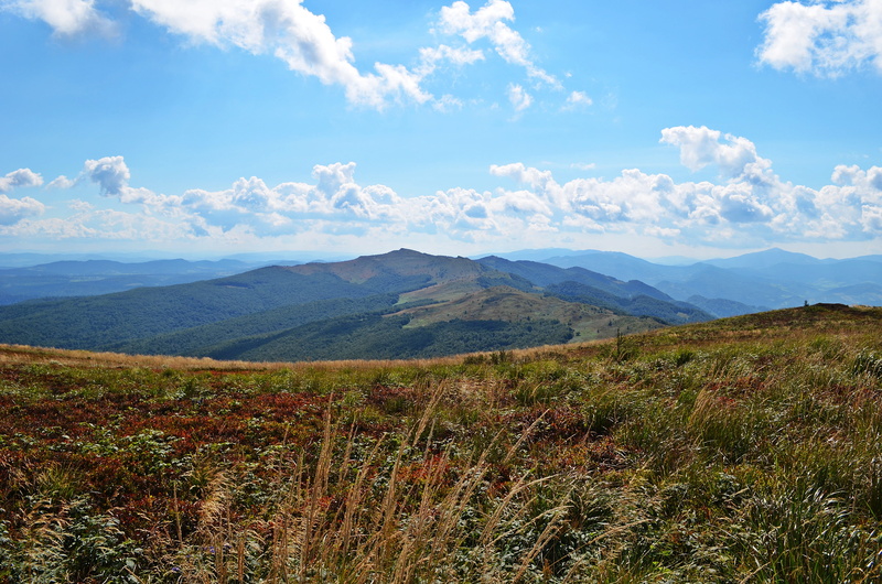 meadow, remote, bieszczady, summer, travel destinations, holidays, top view, hill, panoramic, colorful, Top, sky, travel, the silence, idyllic, View, scenics - nature