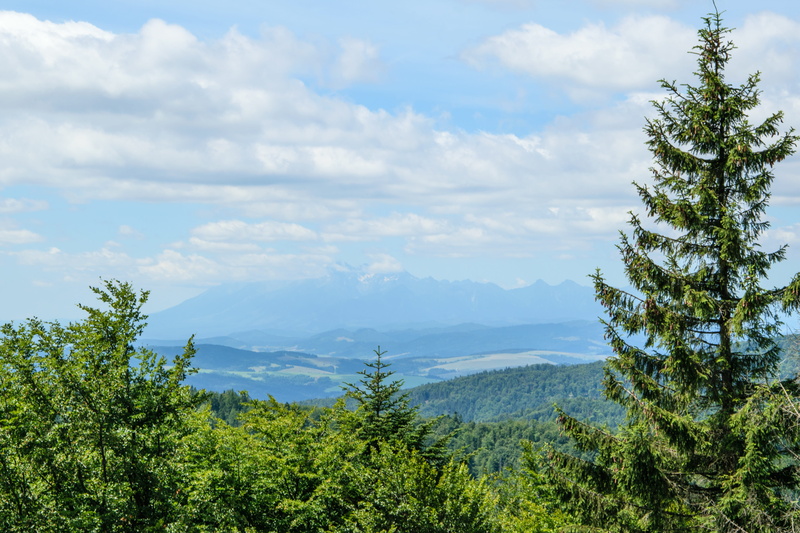 5K, clouds, panorama mountain, plant, high tatras, peace of mind, the beauty of the mountains, tops, sky, green, mountain hiking, wandering, environment