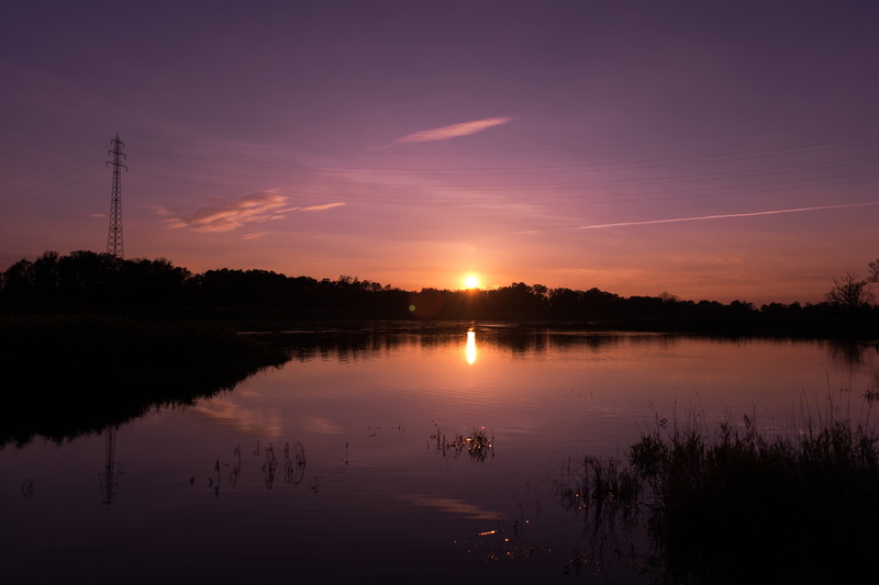 the background, tranquil scene, nature, view, sunset, poland, river, silhouette, orange, non-urban scene, colors, plant, evening, 5K, sun, outdoors, black