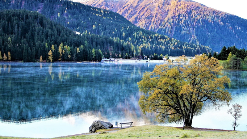coniferous tree, water, idyllic, autumn, hiking trails, growth, environment, mountain, tranquil scene, forest, land, peace of mind, lake, no people, colors