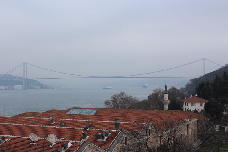 residential district, nature, suspension bridge, europe and asia, building, link, bridge - man made structure, outdoors, city, water, sky, bosphorus, throat