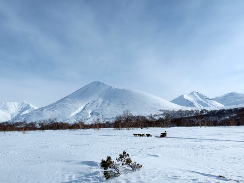 tranquil scene, white color, nature, frost, dog sled race, laika, the musher, landscape, mountain range, mountain peak, scenics - nature, tranquility, snow