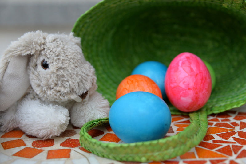 decoration, colored, no people, believe, domestic animals, eggs, egg, faith, springtime, holiday, christianity, easter egg, easter eggs, colorful eggs