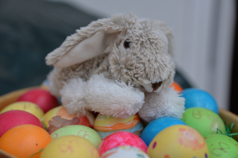 Egg, celebration, food, children, representation, many, christen, color, christian, Easter Bunny, animal themes, colored, religion, close-up, custom, colorful eggs