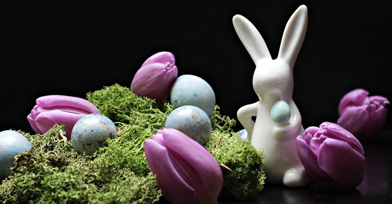 growth, figurine, hare, food and drink, easter mood, nature, decoration, tradition, easter greetings, invitation, easter, black background, pink Color