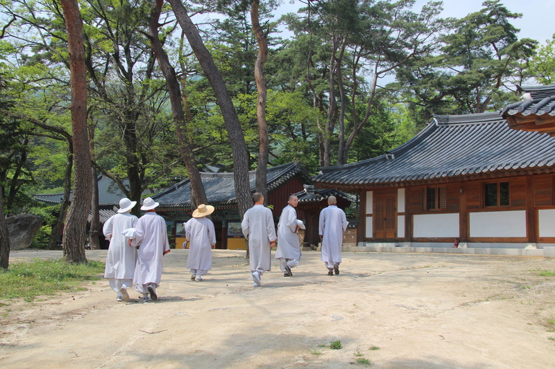 near, men, jikjisa, house, republic of korea, spirituality, outdoors, religion, cultures, built structure, temple - Building, pine, east Asian Culture