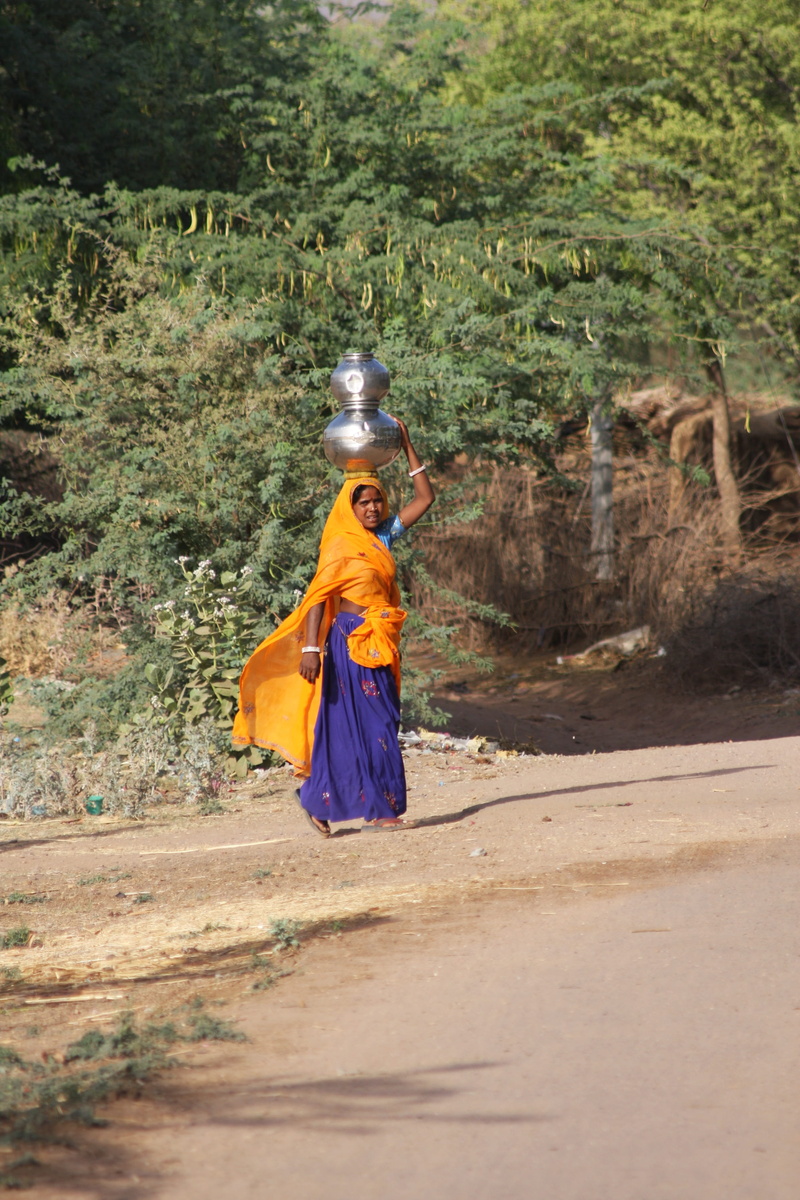 plant, walking, cultures, India, cape, real people, women, Woman, Worker, outdoors, full length, asia, costume, tree, 4K, day, traditional clothing, adult