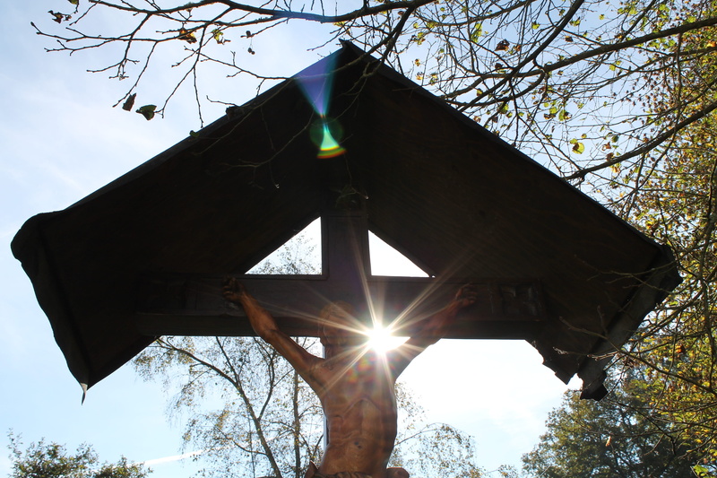 christianity, branch, tree, easter, christian, wood - material, faith, sky, 4K, forest, no people, good friday, gloss, wooden cross, outdoors, rays, autumn