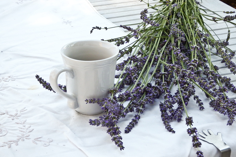 snow, blue, tea cup, no people, freshness, indoors, flowers, 4K, flowering plant, still life, nature, beside, cup, tablecloth, mug, plant, close-up, ceramic