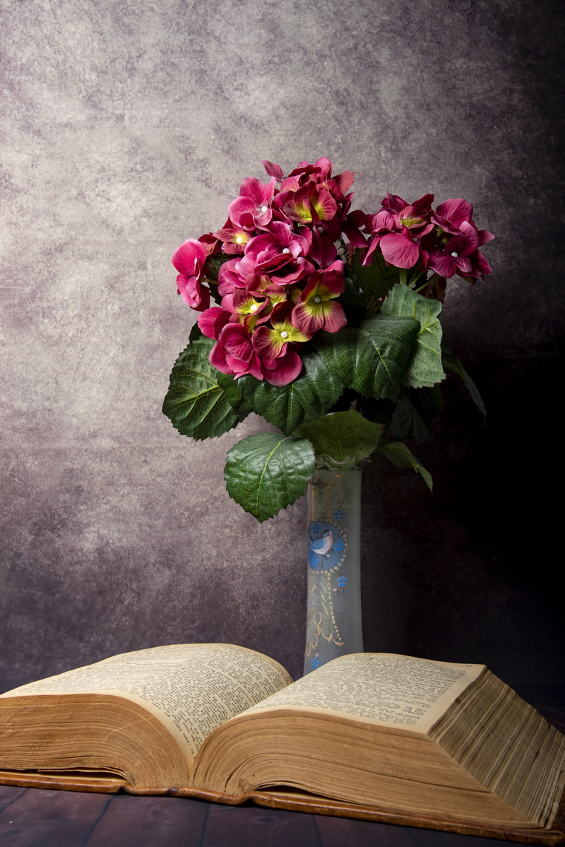 plant, nature, softness, rose, books, flower head, flower, fragility, vulnerability, pink color, bunch of flowers, vase, still life, bouquet, petal, stories