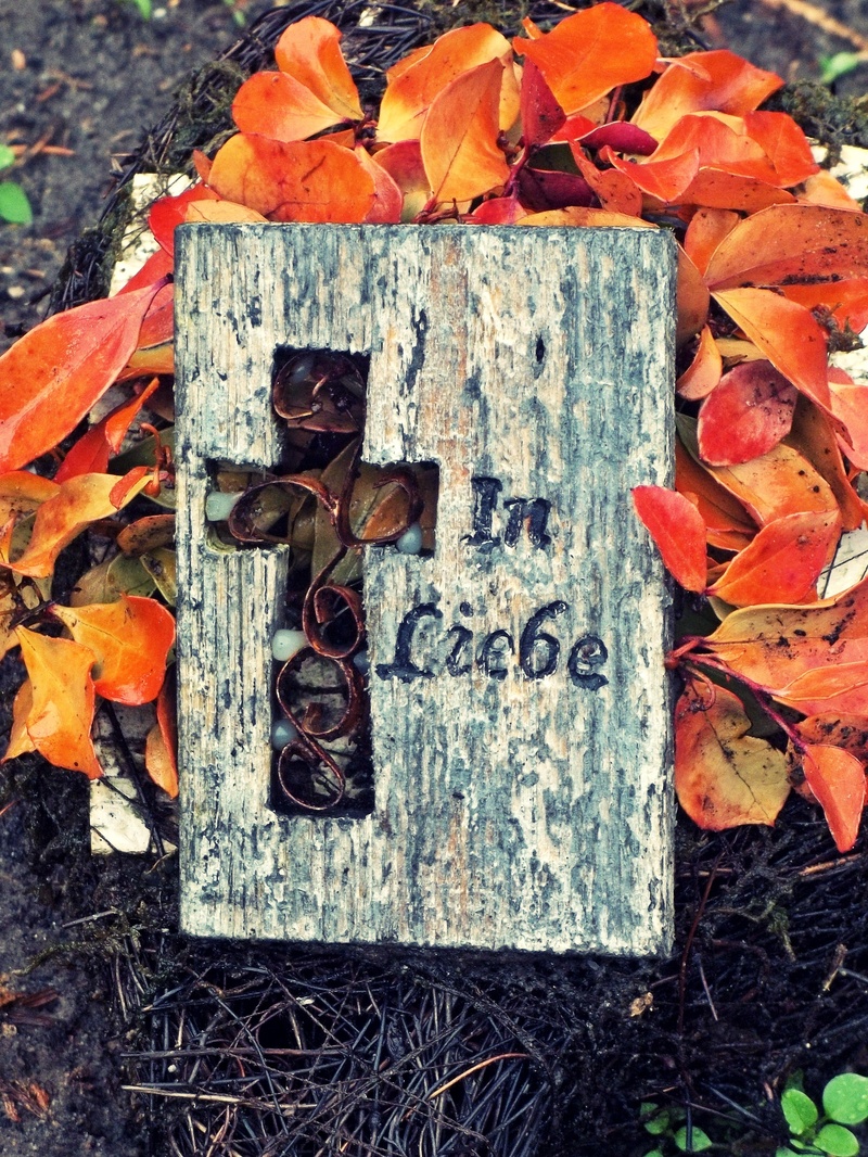 high angle view, 2K, wood - material, dry, pray, leaf, bark, mourning, leaves, grieve, memorial, faith, orange color, outdoors, falling, fall, change