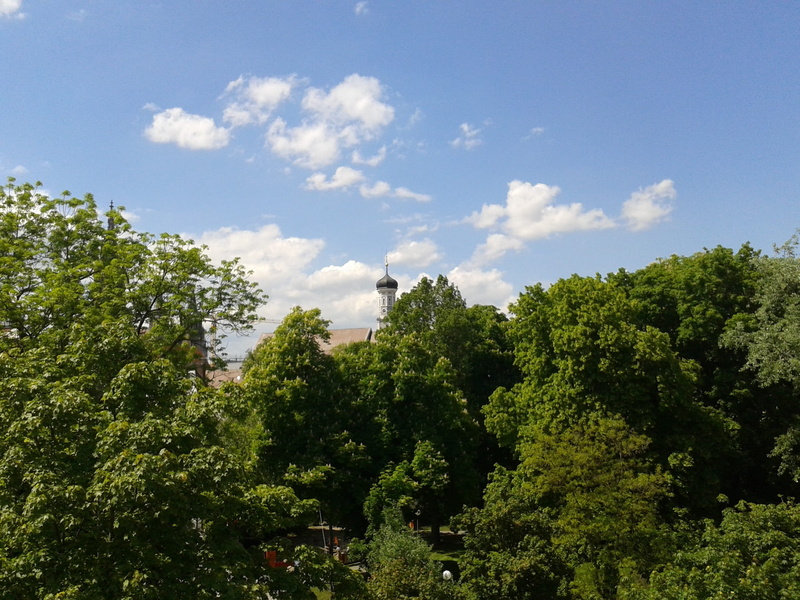plant, Summer, ulm, low angle view, sunlight, non-urban scene, Forest, growth, tower, blue, beauty in nature, day, clouds, cloud - sky, 2K, tree, land