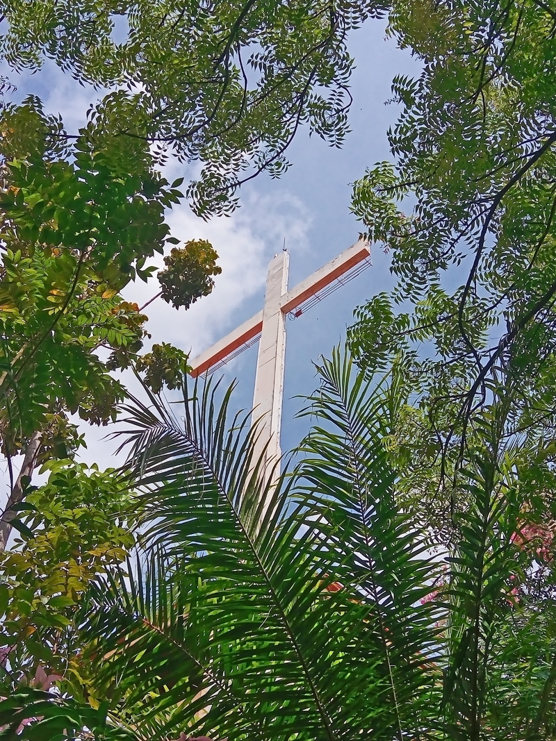 lent season, wood, industry, air pollution, low angle view, built structure, forest, good friday, green color, green, season, outdoors, growth, plant, day